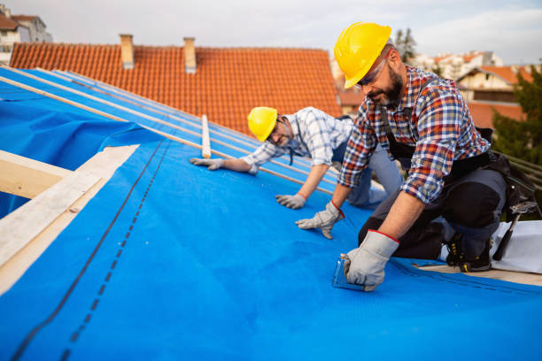 Best Sheet Metal Roofing  in Wendell, NC